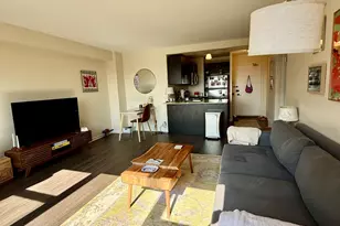 2909 N Sheridan Rd, Chicago, IL 60657 - Photo 12