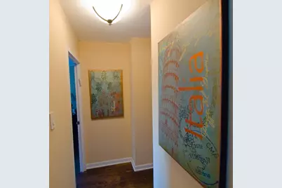 211 E Ohio Street #701, Chicago, IL 60611 - Photo 8