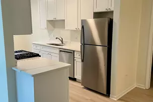 600 N Dearborn St, Chicago, IL 60654 - Photo 4