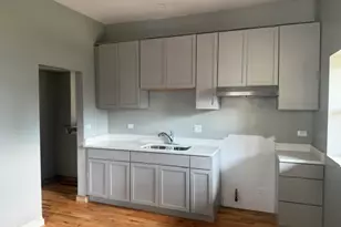 1921 S St Louis Ave, Chicago, IL 60623 - Photo 12