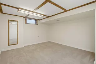 109 N 3rd St, Colona, IL 61241 - Photo 20