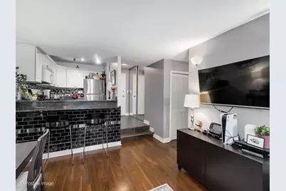 230 E Ontario Street #503, Chicago, IL 60611 - Photo 6