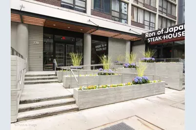 230 E Ontario Street #503, Chicago, IL 60611 - Photo 2