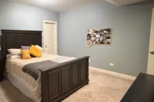 1725 Beazley Dr, New Lenox, IL 60451 - Photo 20