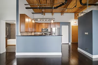 1610 S Halsted Street #408, Chicago, IL 60608 - Photo 8