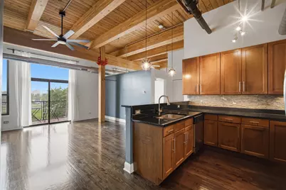 1610 S Halsted Street #408, Chicago, IL 60608 - Photo 4
