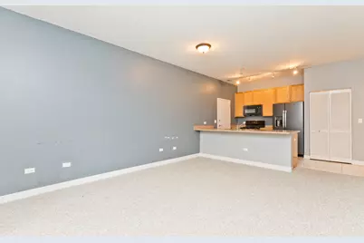 1515 S Halsted Street #214, Chicago, IL 60607 - Photo 4