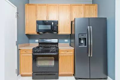 1515 S Halsted Street #214, Chicago, IL 60607 - Photo 8