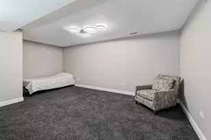 10809 W 142nd St, Orland Park, IL 60467 - Photo 34