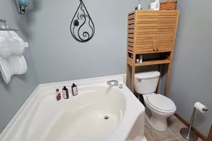 187 Whiporwill Dr, Beecher, IL 60401 - Photo 12