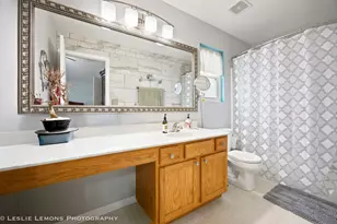 12208 S Shagbark Dr, Plainfield, IL 60585 - Photo 14