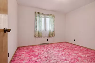 201 E Ririe Place, Flanagan, IL 61740 - Photo 20