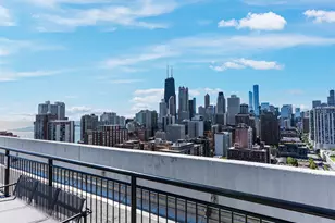 88 W Schiller St, Chicago, IL 60610 - Photo 14