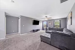 3800 Thoroughbred Ln, Joliet, IL 60435 - Photo 12