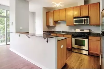 1033 E 46th Street #406, Chicago, IL 60653 - Photo 4