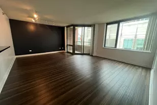 480 N McClurg Ct, Chicago, IL 60611 - Photo 10