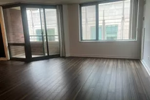 480 N McClurg Ct, Chicago, IL 60611 - Photo 12