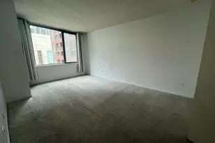 480 N McClurg Ct, Chicago, IL 60611 - Photo 18