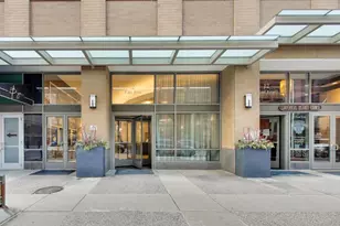 2 E Erie St, Chicago, IL 60611 - Photo 20