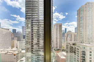 2 E Erie St, Chicago, IL 60611 - Photo 40