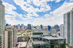 2 E Erie St, Chicago, IL 60611 - Photo 16
