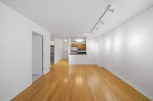 222 E Pearson St, Chicago, IL 60611 - Photo 2