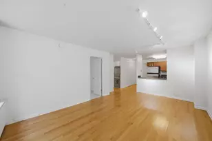 222 E Pearson St, Chicago, IL 60611 - Photo 4