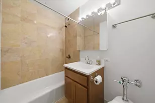 222 E Pearson St, Chicago, IL 60611 - Photo 10