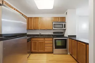 222 E Pearson St, Chicago, IL 60611 - Photo 8
