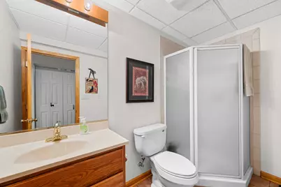 1605 Park Ridge Point, Park Ridge, IL 60068 - Photo 20