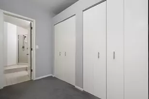 910 S Michigan Ave, Chicago, IL 60605 - Photo 18