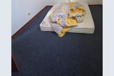 1314 W 51st Street, Chicago, IL 60609 - Photo 14