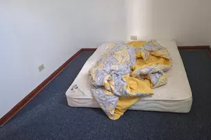 1314 W 51st St, Chicago, IL 60609 - Photo 14