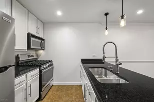 818 N Dearborn St, Chicago, IL 60610 - Photo 10