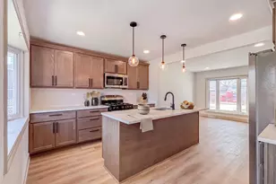 127 N Cedar Ln, Glenwood, IL 60425 - Photo 10