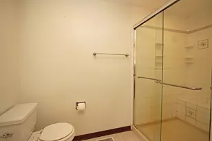 23428 W Mallard Ct, Deer Park, IL 60010 - Photo 36