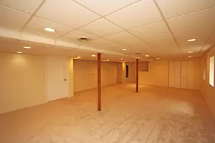 23428 W Mallard Ct, Deer Park, IL 60010 - Photo 42