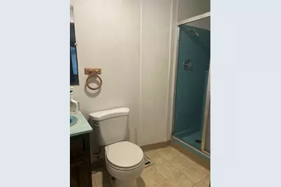 227 N First Street, Geneva, IL 60134 - Photo 10