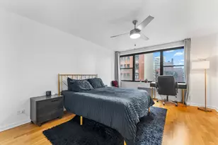 850 N Dewitt Pl, Chicago, IL 60611 - Photo 12