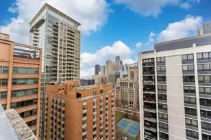 850 N Dewitt Pl, Chicago, IL 60611 - Photo 30