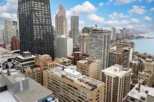 850 N Dewitt Pl, Chicago, IL 60611 - Photo 34