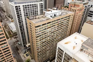 850 N Dewitt Pl, Chicago, IL 60611 - Photo 32
