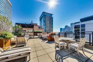 850 N Dewitt Pl, Chicago, IL 60611 - Photo 28