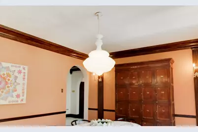 8844 S Pleasant Avenue, Chicago, IL 60643 - Photo 22