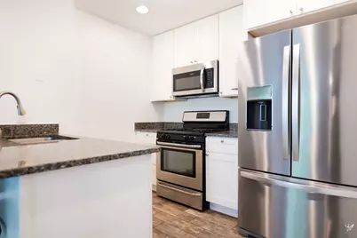 1001 N Mill Street #308, Naperville, IL 60563 - Photo 4