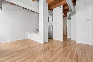 521 W Superior St, Chicago, IL 60654 - Photo 4