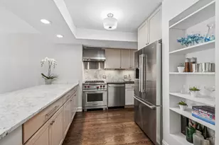 317 W Webster Ave, Chicago, IL 60614 - Photo 8