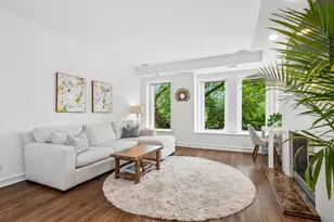 317 W Webster Ave, Chicago, IL 60614 - Photo 6