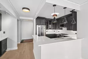 420 E Waterside Dr, Chicago, IL 60601 - Photo 6