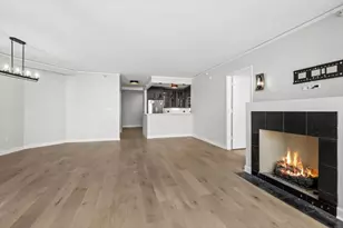 420 E Waterside Dr, Chicago, IL 60601 - Photo 4